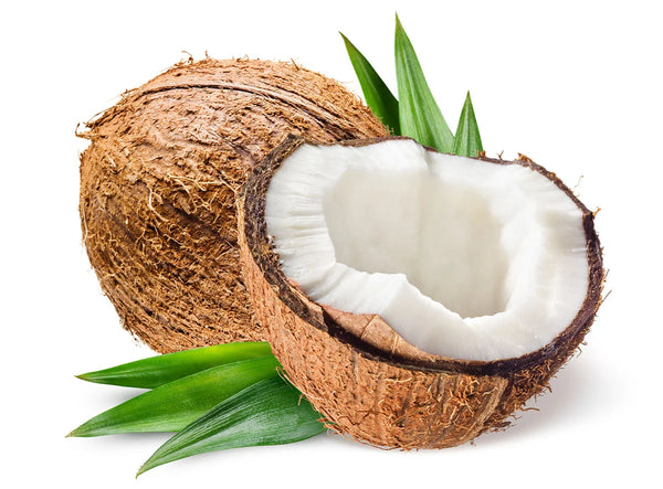 Coconut