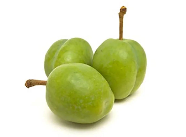 Kakadu Plum