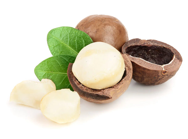 Macadamia