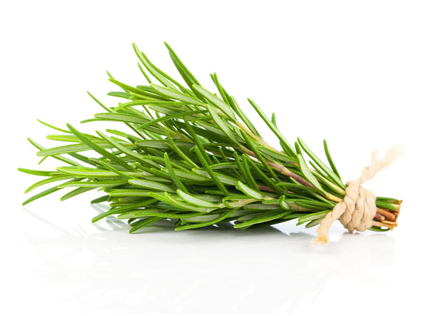 Rosemary