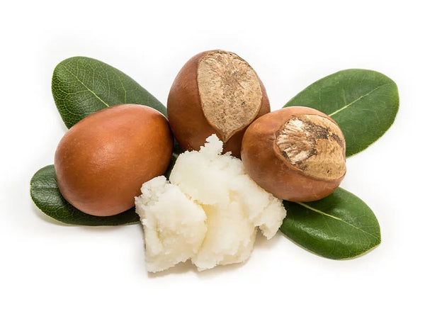 Shea Butter