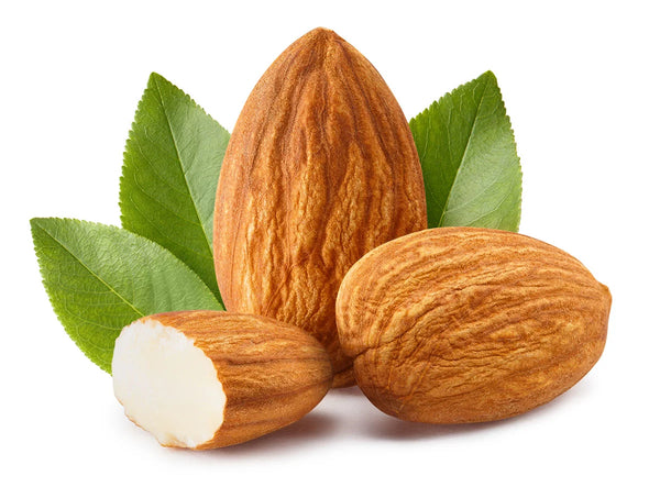 Sweet Almond Oil