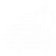 Fast shipping